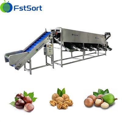 Mea hoʻomaʻemaʻe hoʻomaʻemaʻe Chestnut kiʻekiʻe